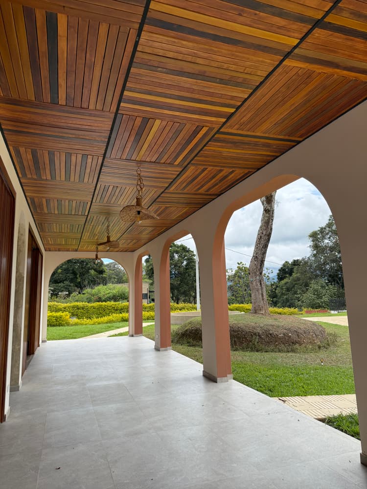 Imagen de bosques del rio