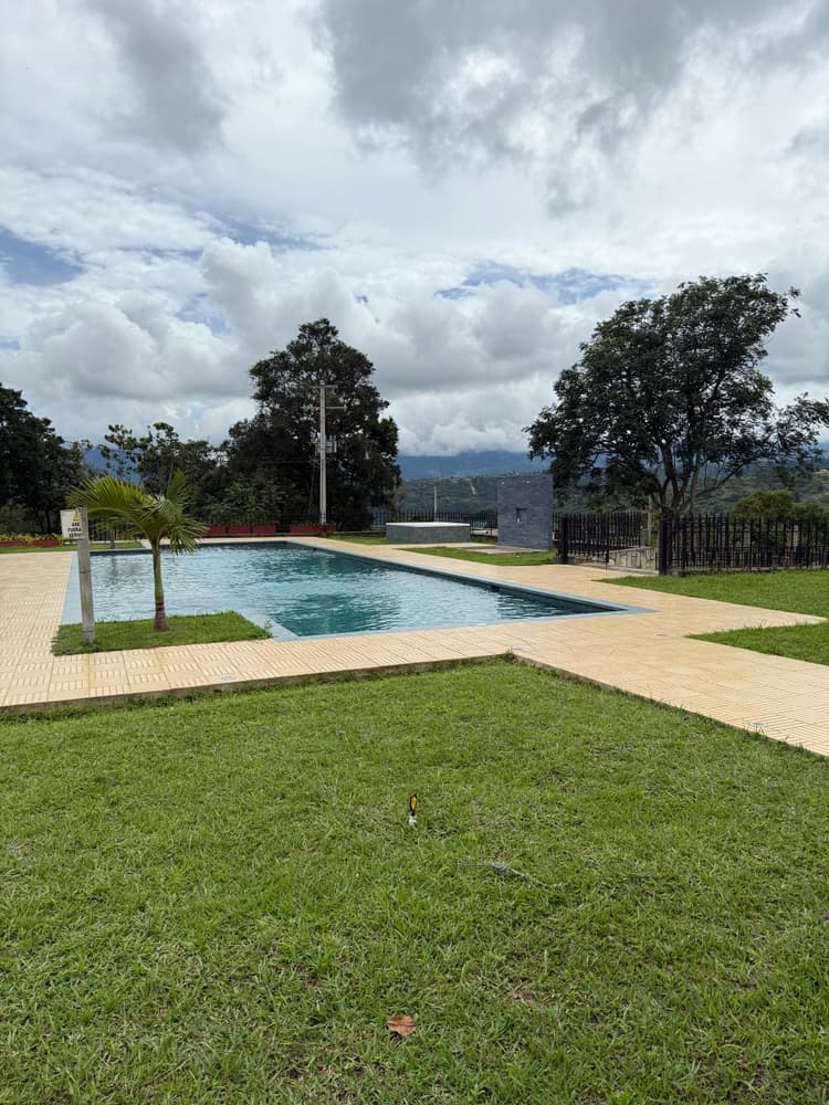 Imagen de bosques del rio