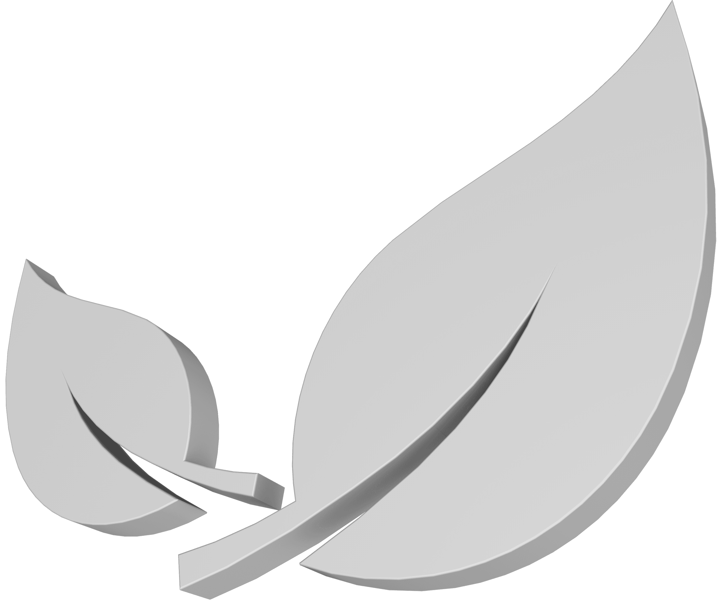 Imagen de bosques del rio